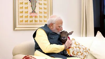 PM Modi Introduces Newborn Calf 'Deepjyoti' at Lok Kalyan Marg