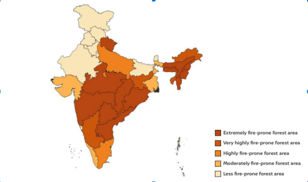 Forest fires’ frequency, intensity went up in past 2 decades: study