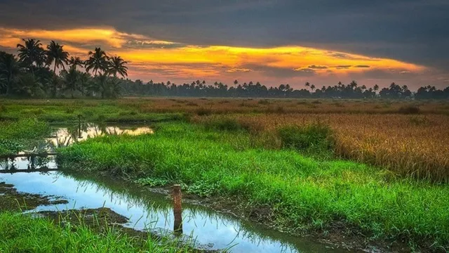 Why Kerala is Known as God's Own Country