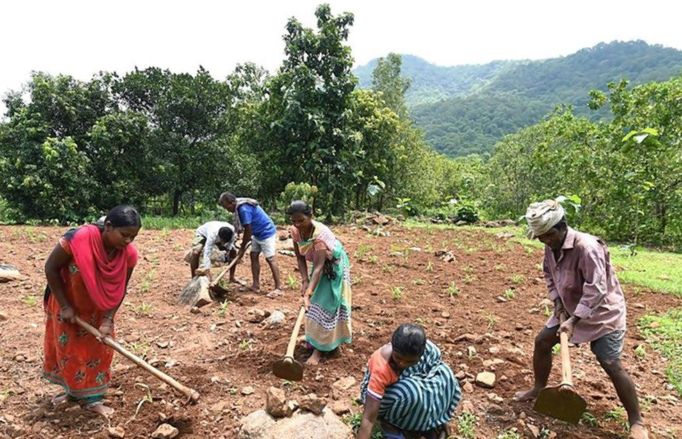 What does a special package mean for PVTGs