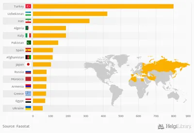 Top 10 Apricot Producing Countries in the World