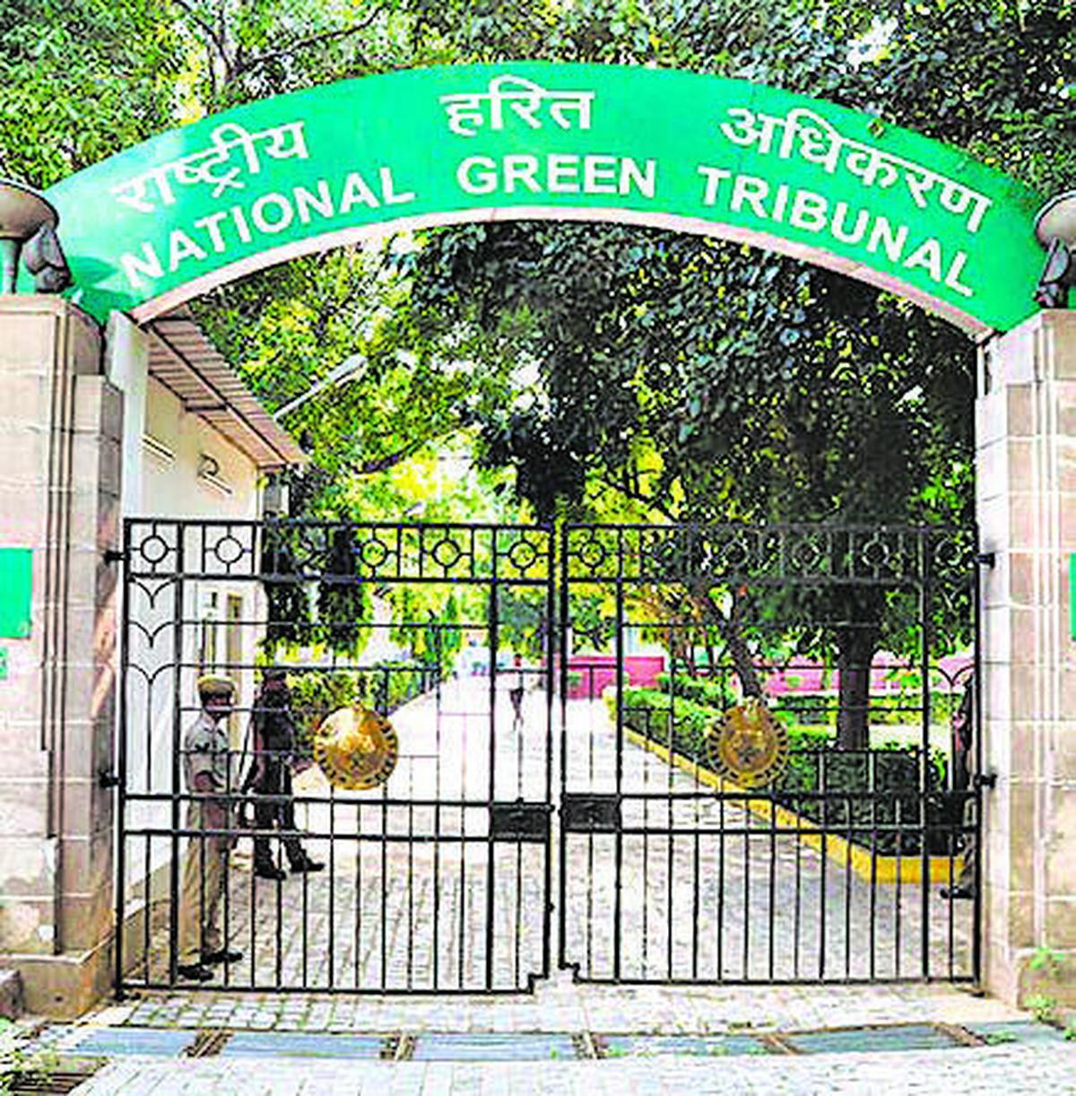 Exploration of  green cremation methods