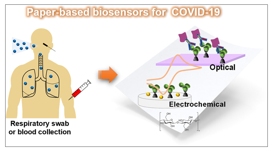 ICMR initiates steps for non-invasive testing method to tackle anaemia