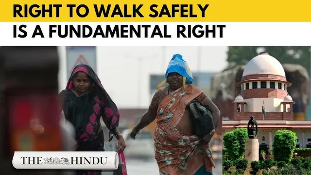 Supreme Court Declares Right to Walk as Fundamental Right