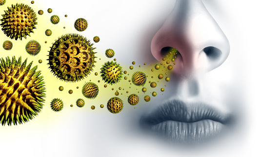 POLLEN CALENDAR