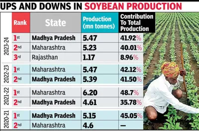 Which State in India is the Largest Producer of Soybeans?