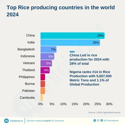 Top 10 Rice-Producing Countries in the World 2024