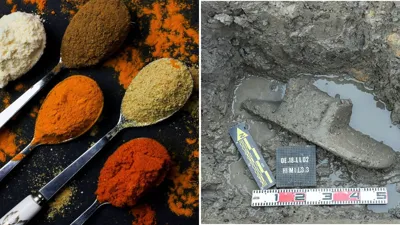 Indian Institute of Spices Research Wins Best Technology Award for Innovative Turmeric Milk Powder