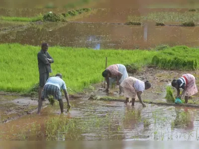 Sustainable Development in Bihar: Key Insights from TCI Research