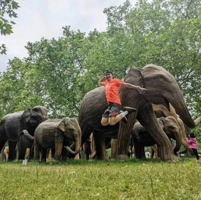 Madhya Pradesh Forms State Level Steering Committee for Vikas Bharat Sankalp Yatra