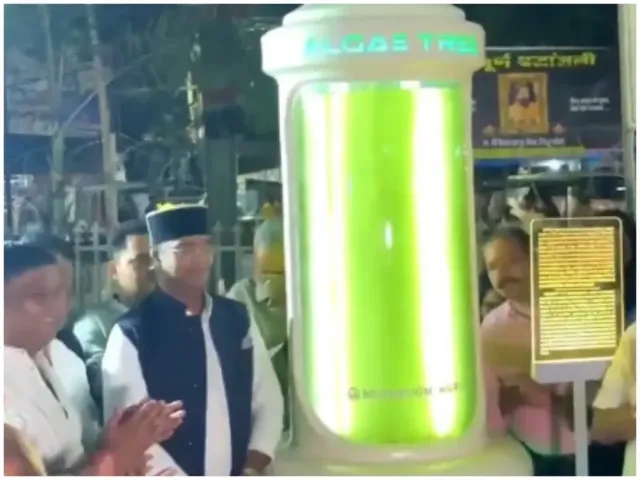 India's First Algae Tree Installed in Bhopal, Madhya Pradesh