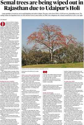Disappearance of Semal Trees in South Rajasthan
