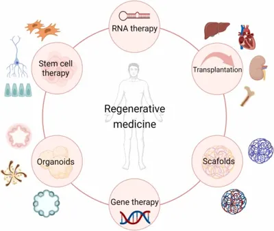 Advances in Regenerative Medicine: Highlights from the 9th Annual World Congress by IASRM