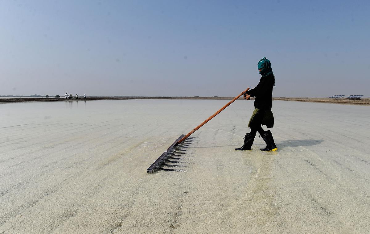 Crisis in salt sector hits livelihood of lakhs of people in Gujarat
