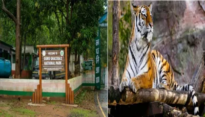 Guru Ghasidas-Tamor Pingla Declared as India's 56th Tiger Reserve
