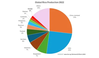 Global Rice Production in 2024: Trends and Key Producers