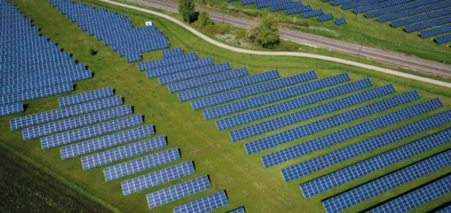 Rajasthan Government Aims to Plant 100 Million Trees by 2026