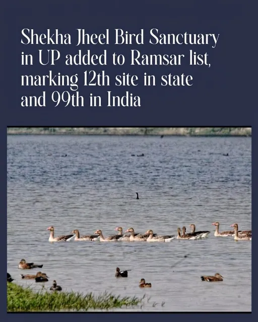 India Designates Shekha Jheel Bird Sanctuary as 99th Ramsar Site