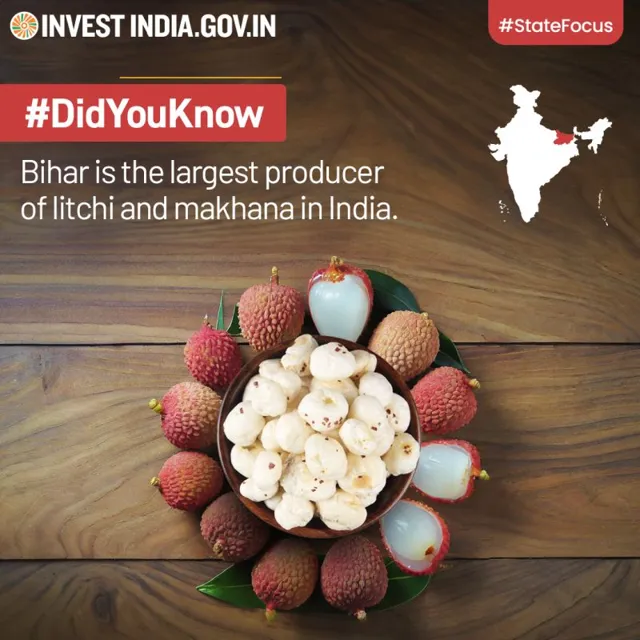 Bihar: India's Largest Producer of Litchi