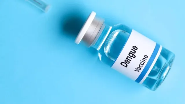 India to Introduce First Approved Dengue Vaccine QDENGA by Mid-2027