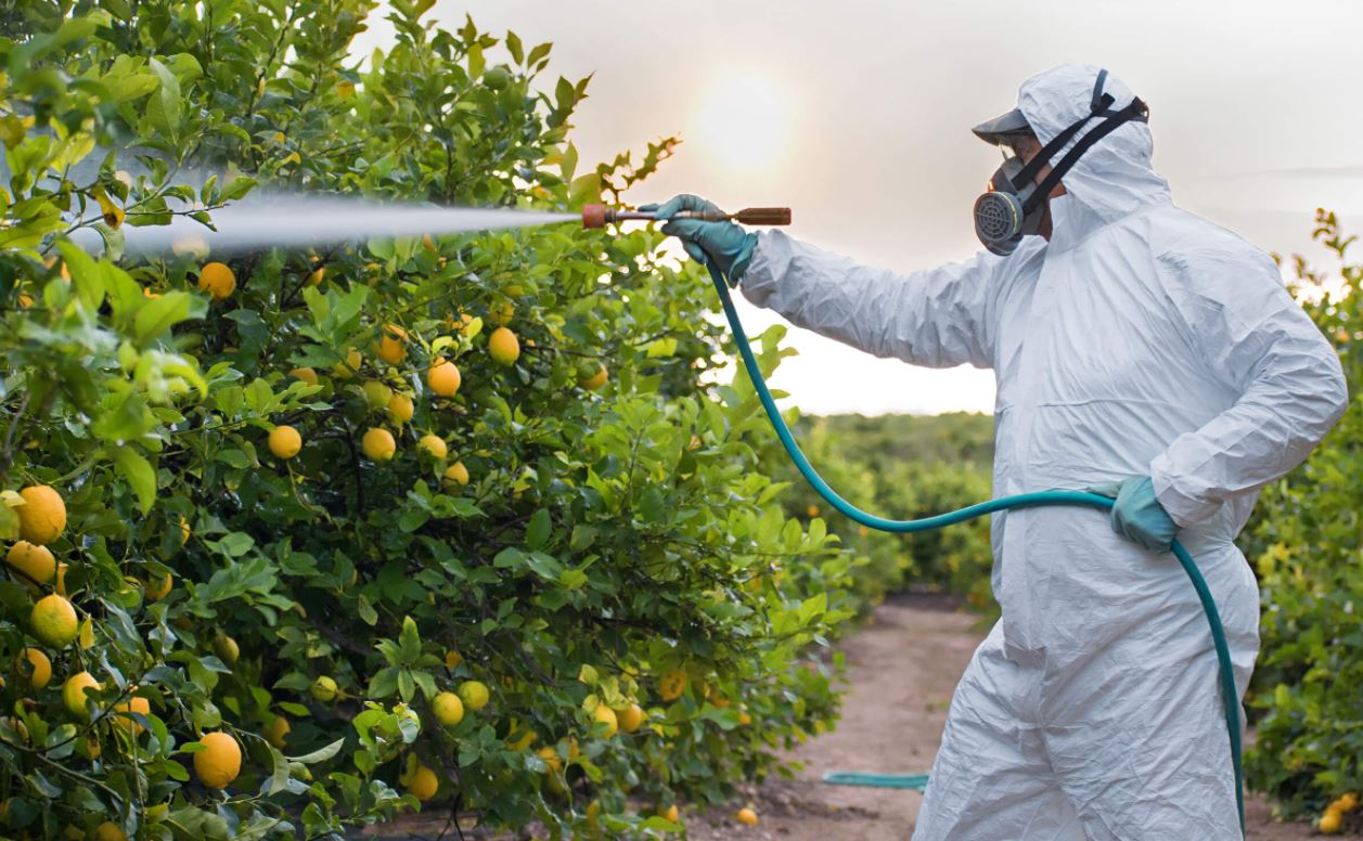 Government prohibits use of TB antibiotics on crops