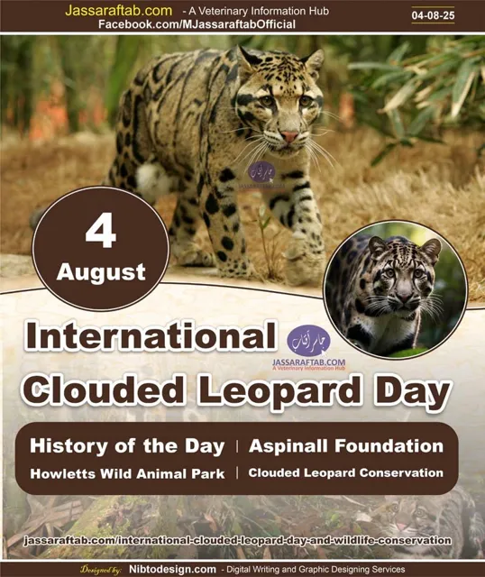 India Launches Clouded Leopard Conservation Plan on International Awareness Day