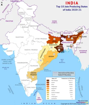 Top 10 Jute Producing States in India 2024: Key Insights and Statistics
