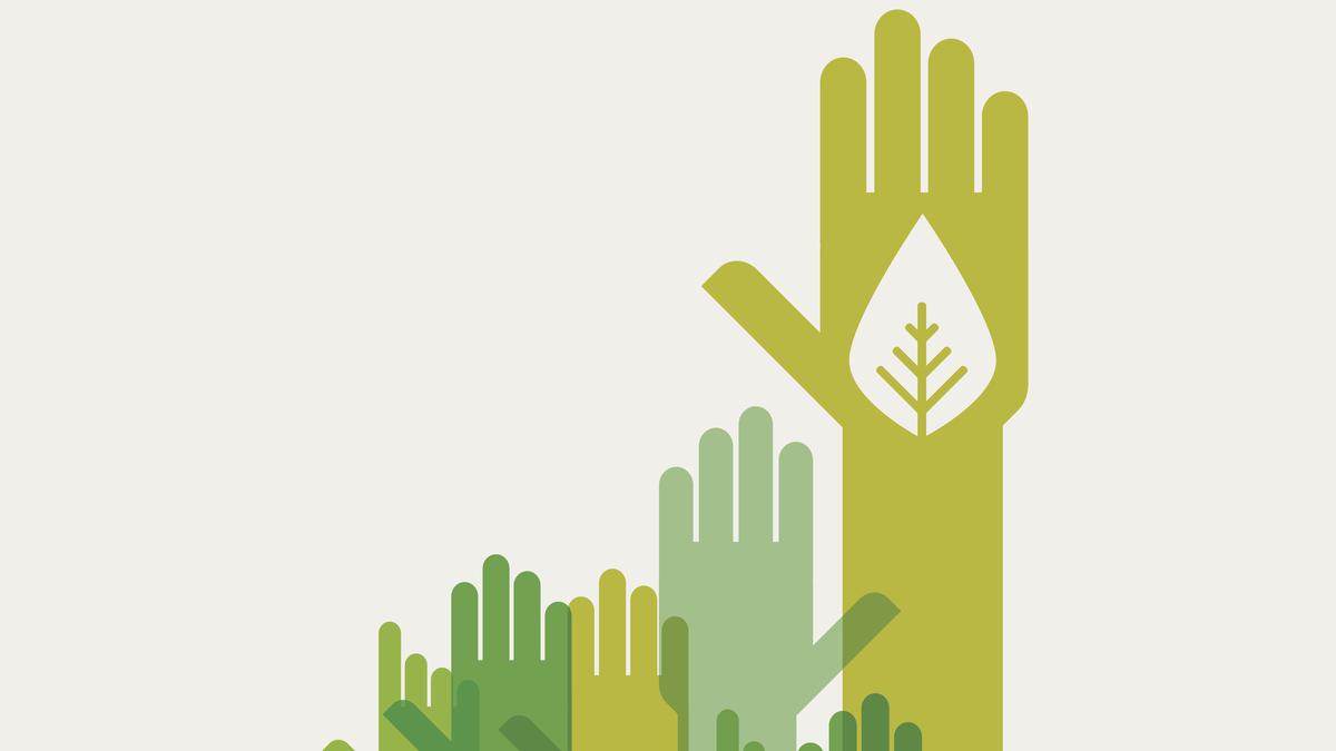 Stop the dithering and encourage green elections in India