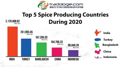 Top 5 Coriander Producing Countries in the World