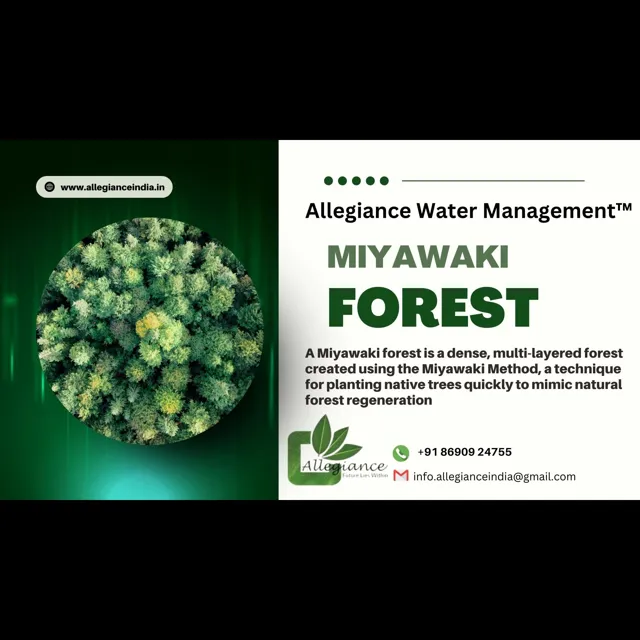 Miyawaki Forests: Revolutionizing Urban Afforestation in India