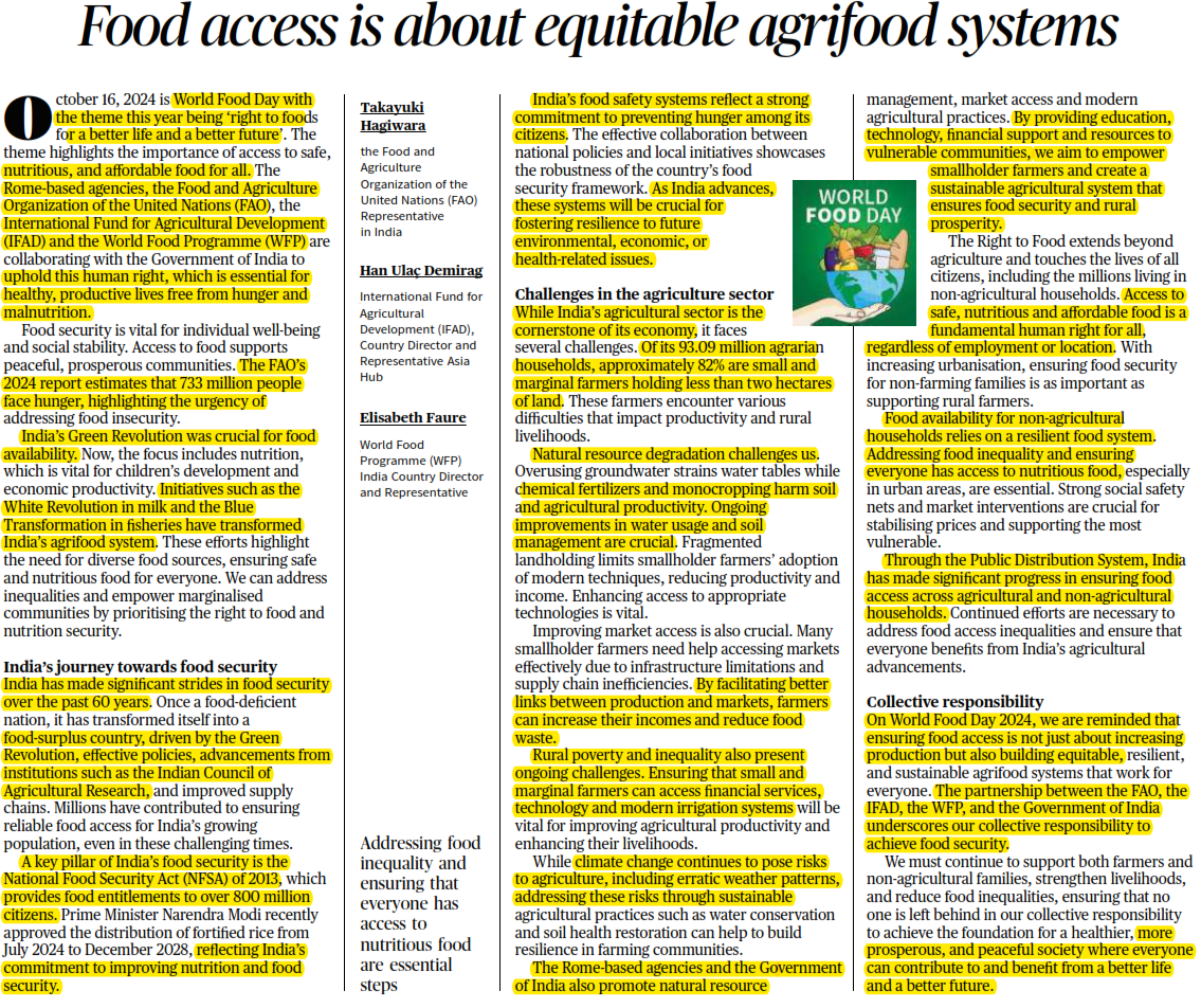 Food access is about equitable agrifood systems