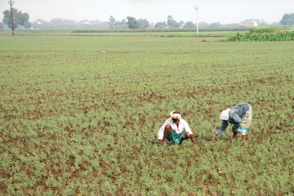 How 4 school girls are trying to get Andhra farmers to practise natural farming