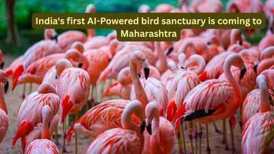 Maharashtra Approves India's First AI-Powered Bird Sanctuary