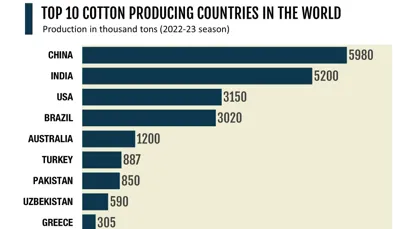 Top 10 Cotton-Producing Countries in 2024: A Comprehensive Overview